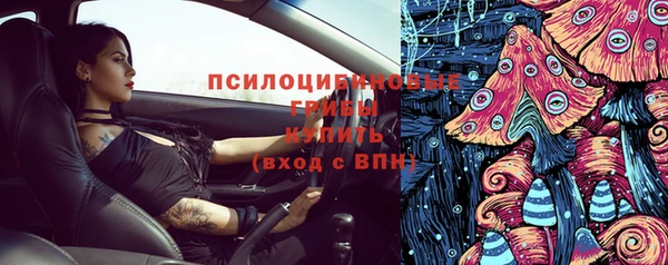 стафф Горняк