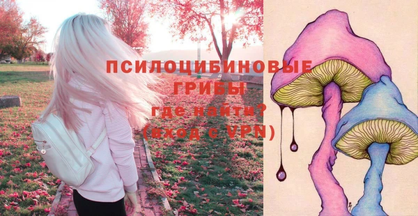 стафф Горняк