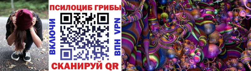 хочу наркоту  Архангельск  Псилоцибиновые грибы Cubensis 